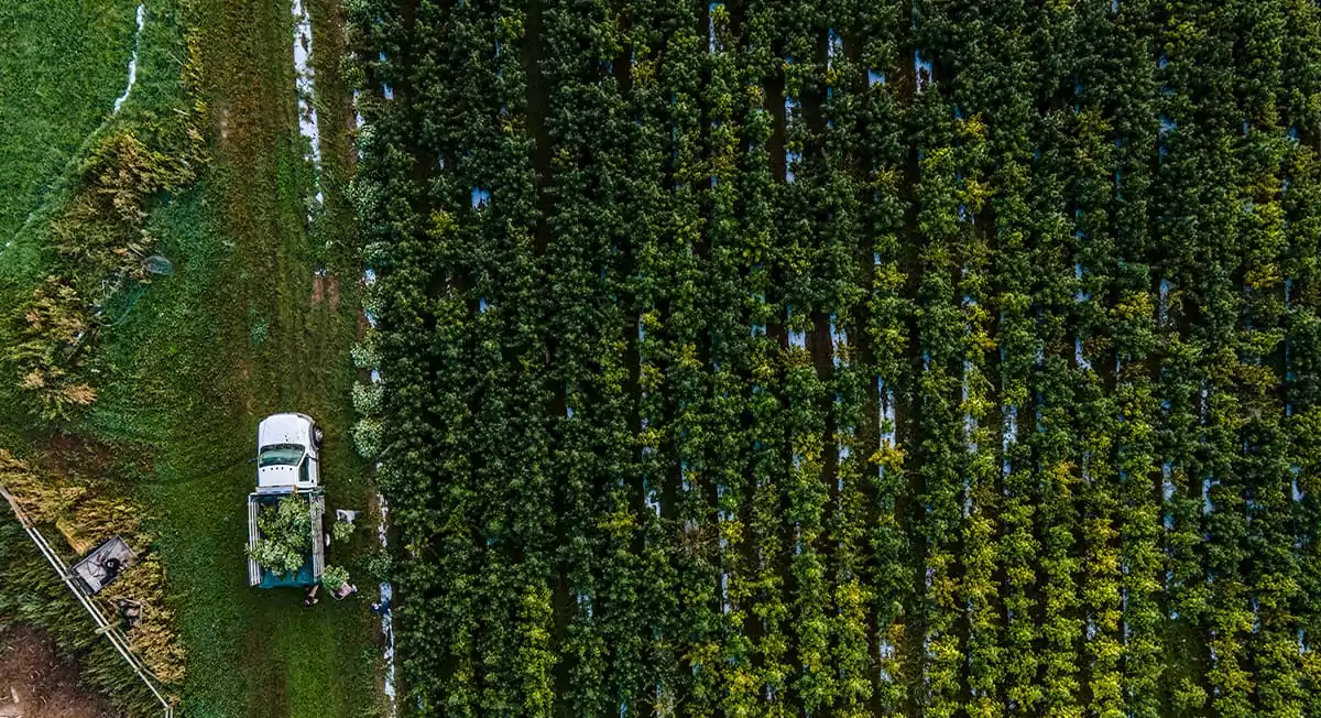 How does regenerative agriculture work?