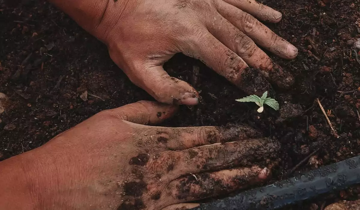 How to be a regenerative farmer