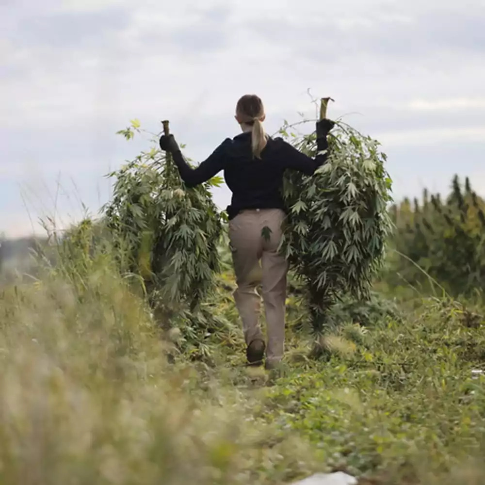 Grounded in our commitment to regenerative agriculture