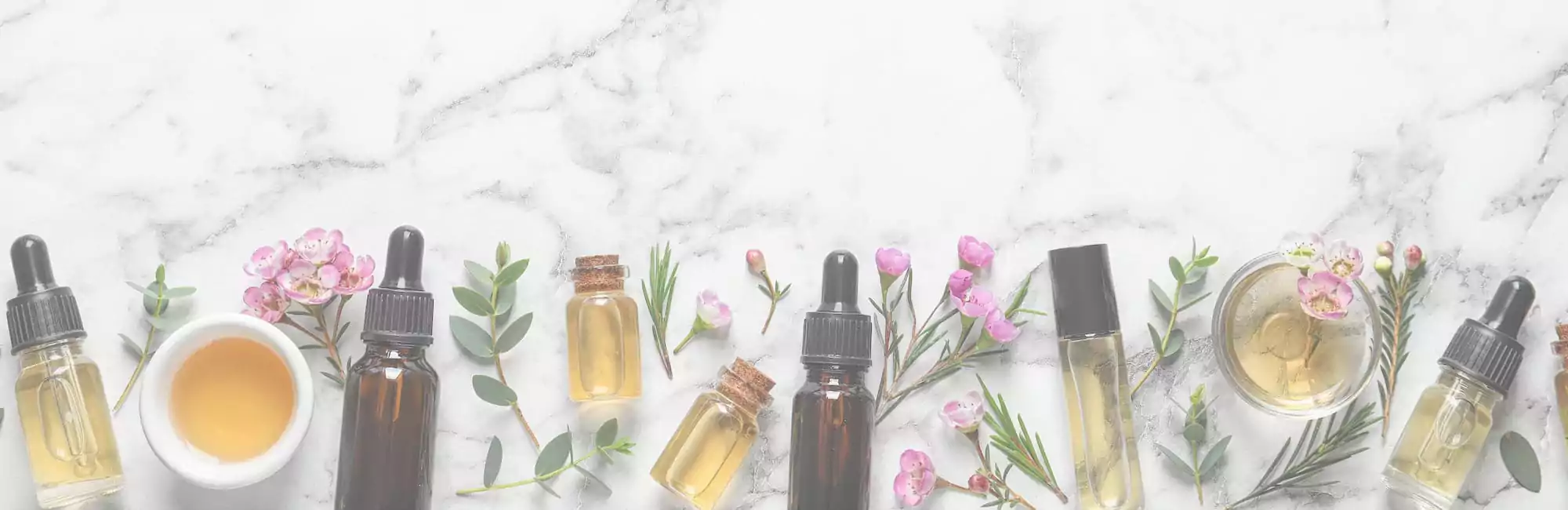 Ingredients & Services